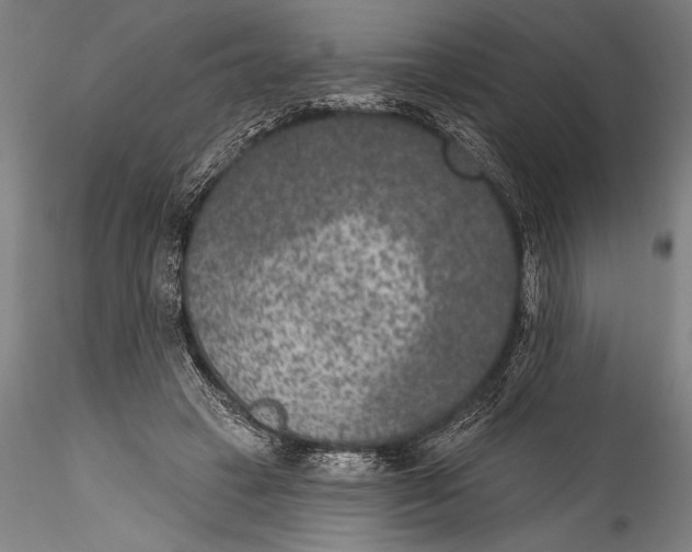 X0000115530449200911271350