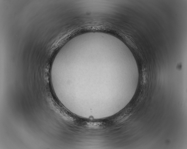 X0000115530450200911271350