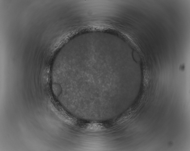 X0000115530451200911271350