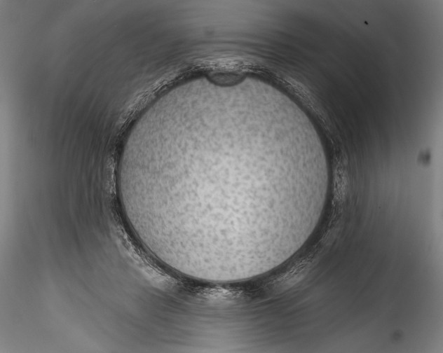 X0000115530453200911271350