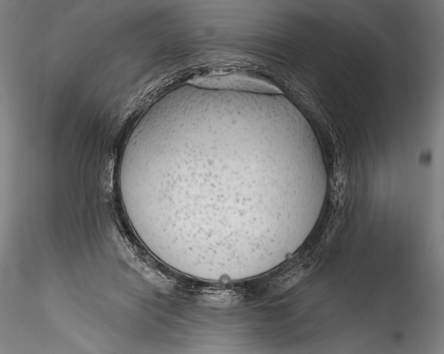 X0000115530454200911271350