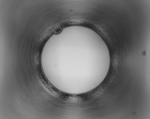 X0000115530455200911271350