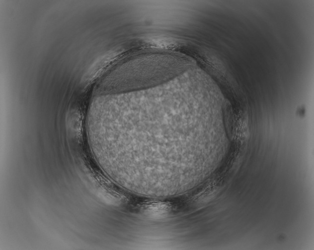 X0000115530456200911271350