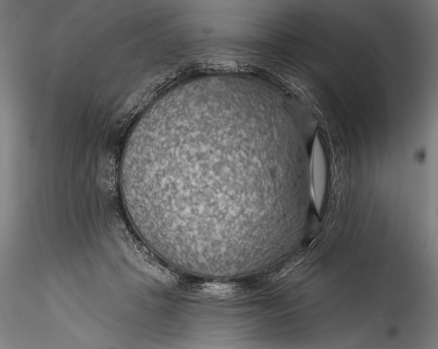 X0000115530457200911271350