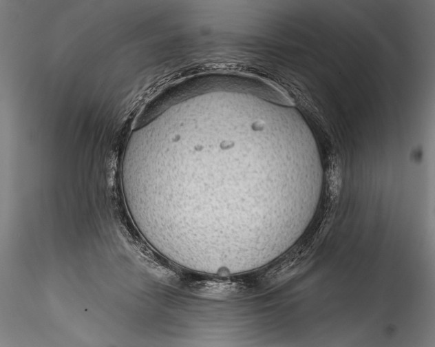 X0000115530458200911271350