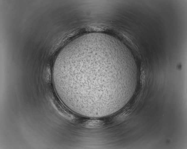 X0000115530459200911271350