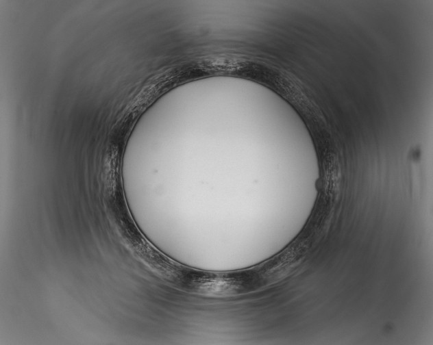 X0000115530460200911271350