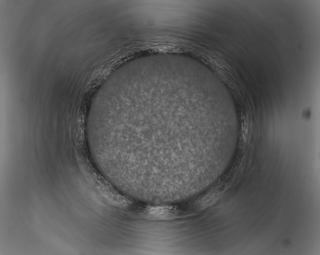 X0000115530461200911271350