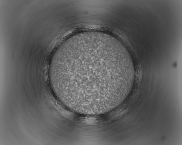 X0000115530462200911271350