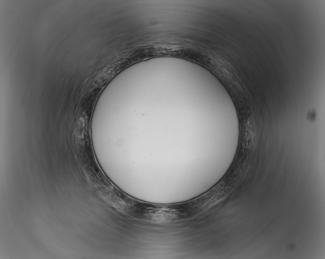 X0000115530463200911271350