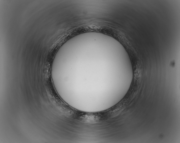 X0000115530464200911271350