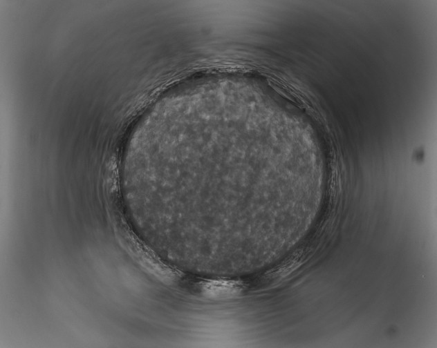 X0000115530465200911271350