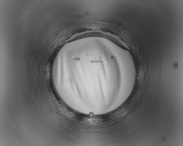 X0000115530466200911271350