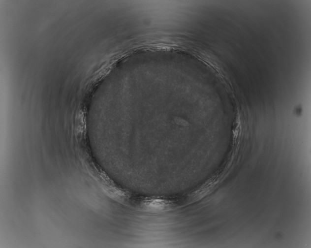 X0000115530467200911271350