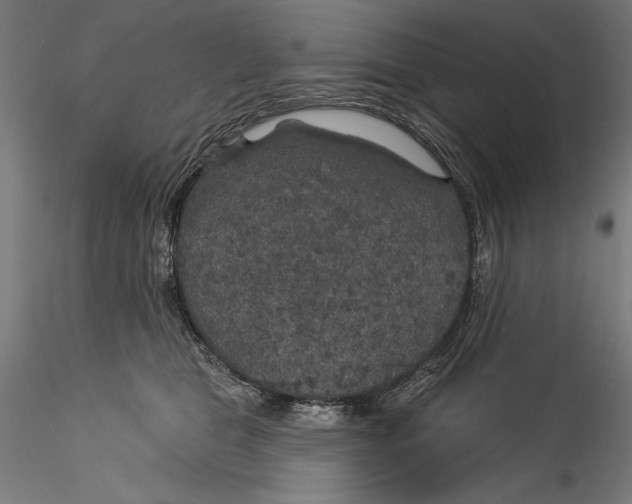 X0000115530469200911271350