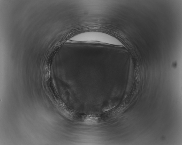 X0000115530471200911271350