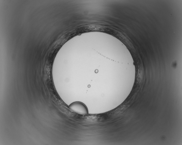 X0000115530473200911271350