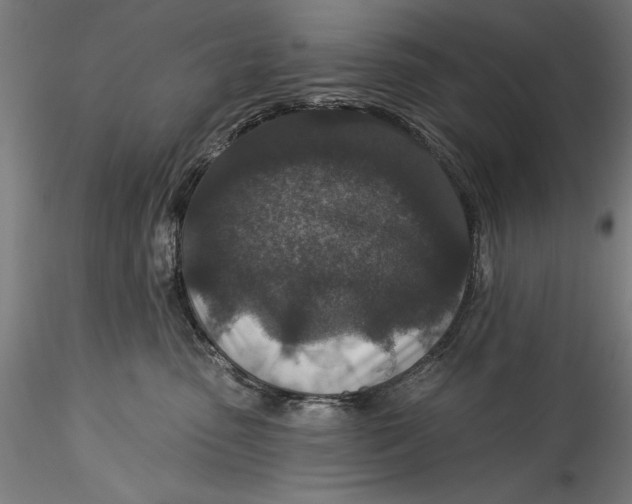 X0000115530475200911271350