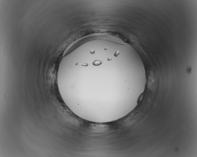 X0000115530476200911271350