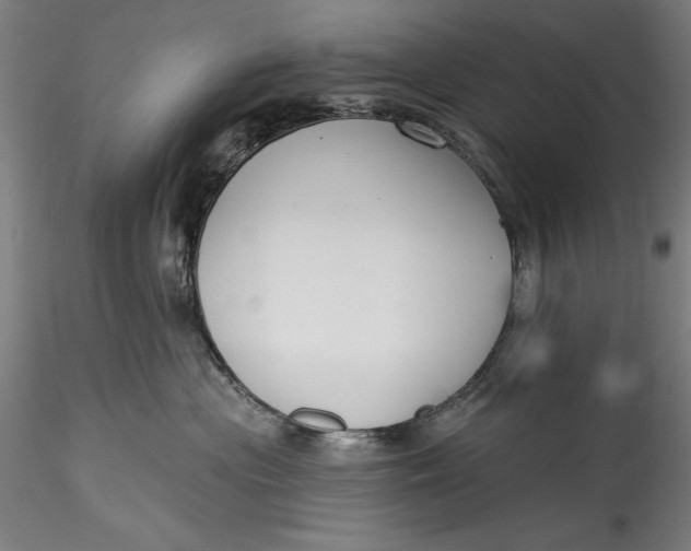 X0000115530477200911271350