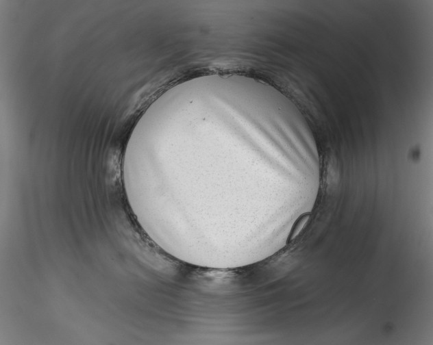 X0000115530478200911271350