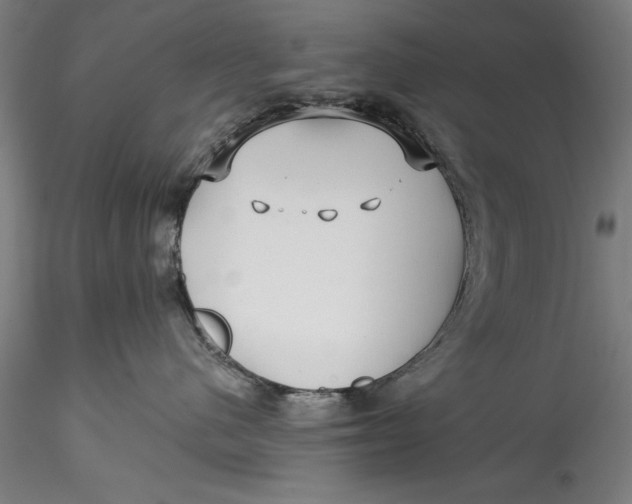 X0000115530480200911271350