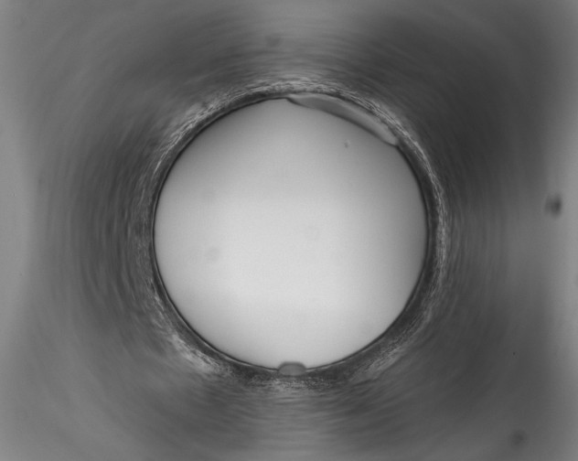 X0000115530481200911271350