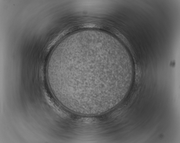 X0000115530482200911271350