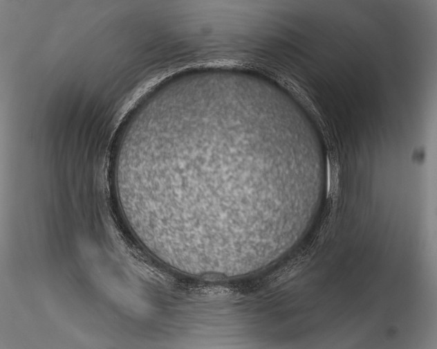 X0000115530483200911271350