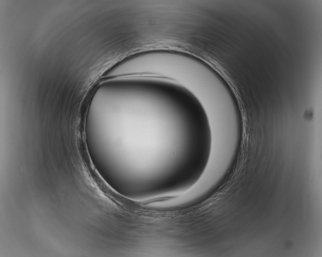 X0000115530485200911271350