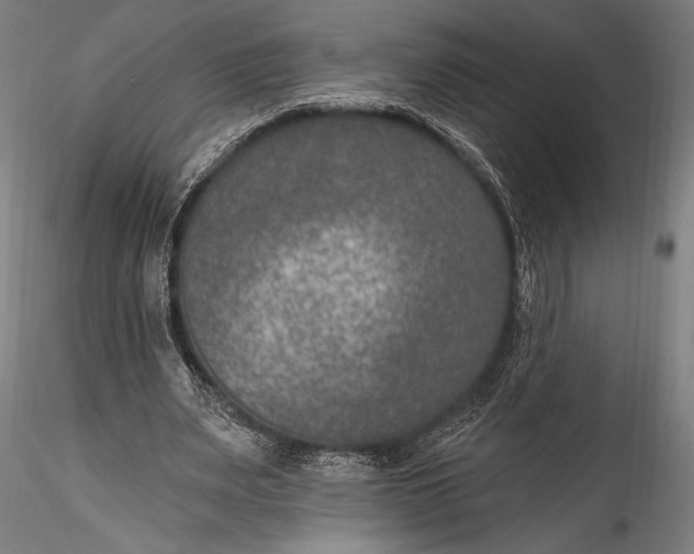 X0000115530487200911271350