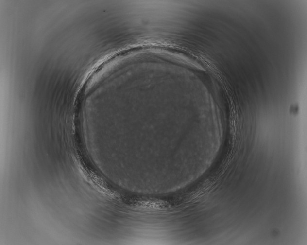 X0000115530488200911271350