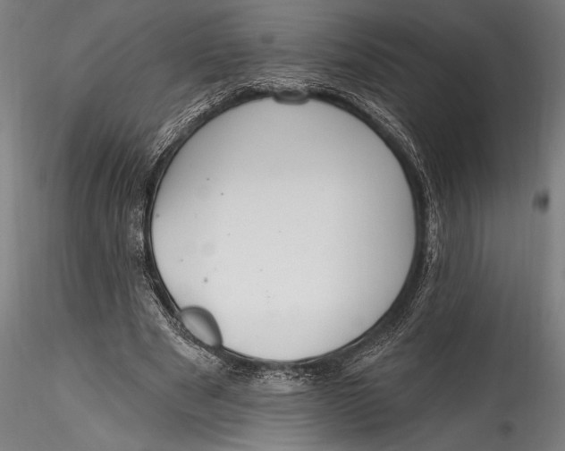 X0000115530489200911271350