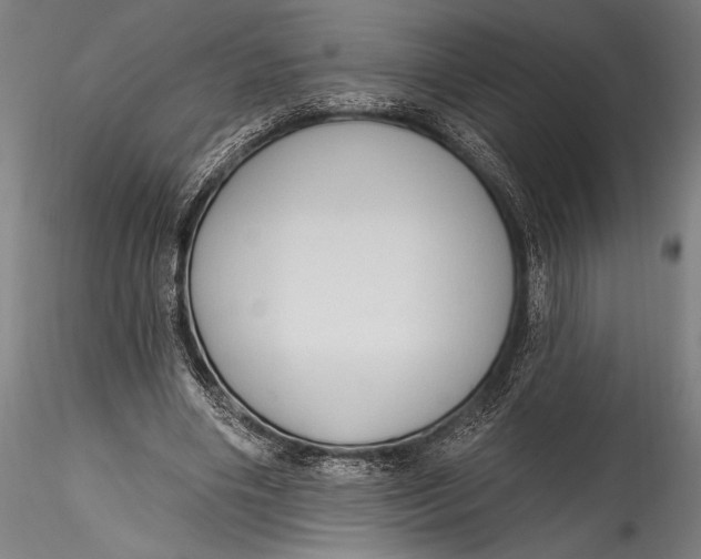 X0000115530490200911271349