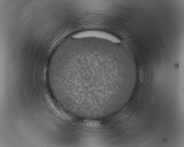 X0000115530491200911271349