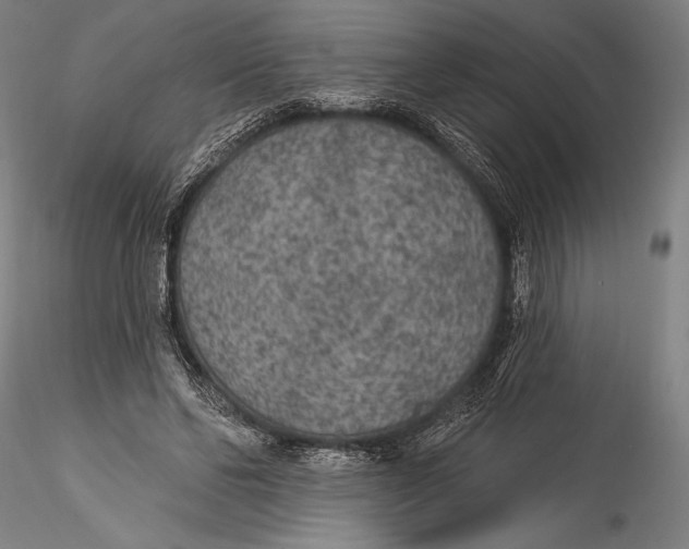 X0000115530494200911271349