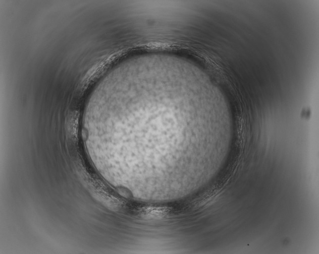 X0000115530495200911271349