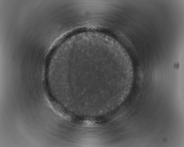 X0000115530496200911271349