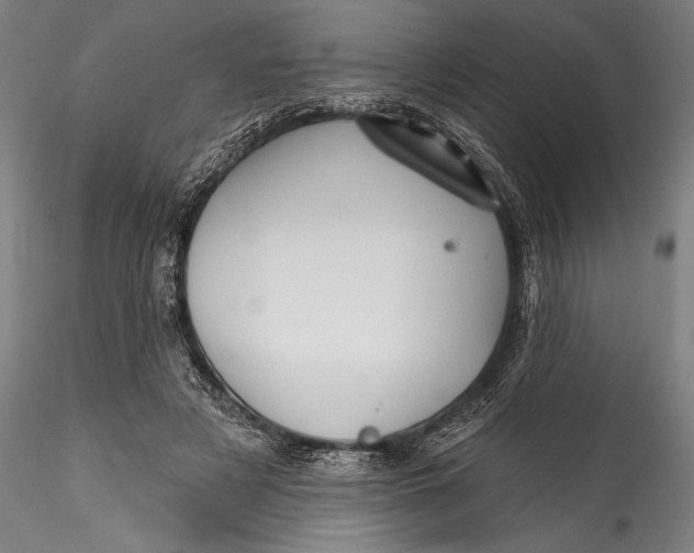 X0000115530497200911271349