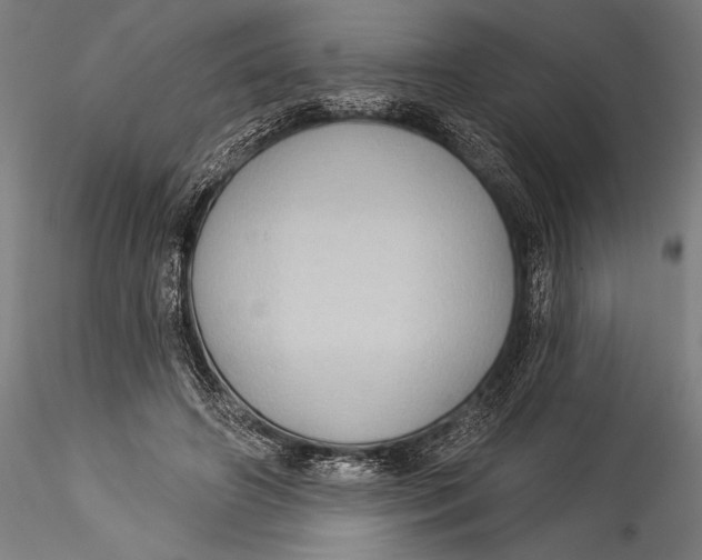 X0000115530498200911271349