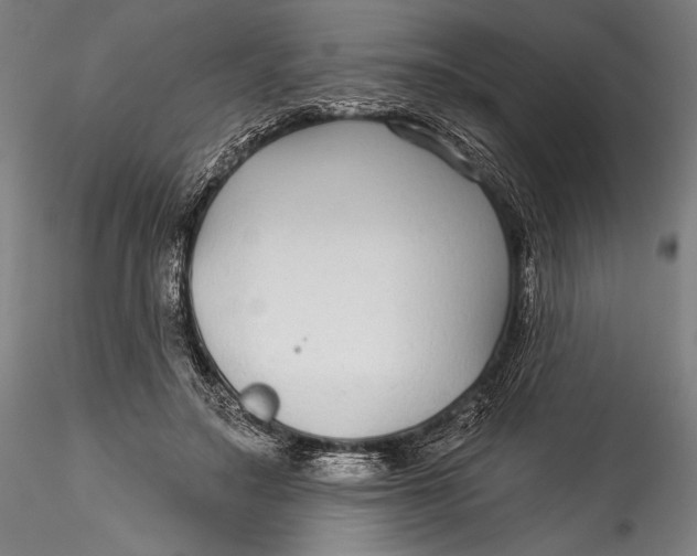 X0000115530499200911271349