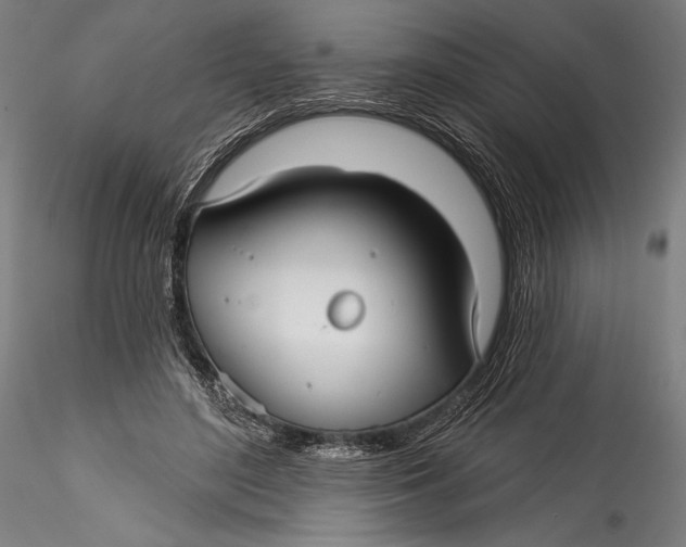 X0000115530500200911271349