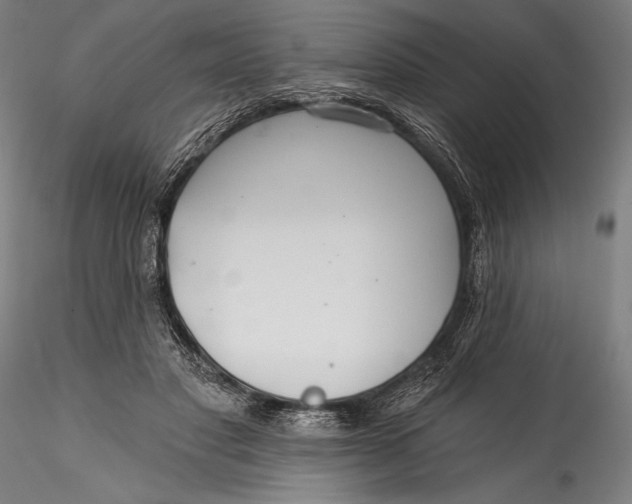 X0000115530501200911271349