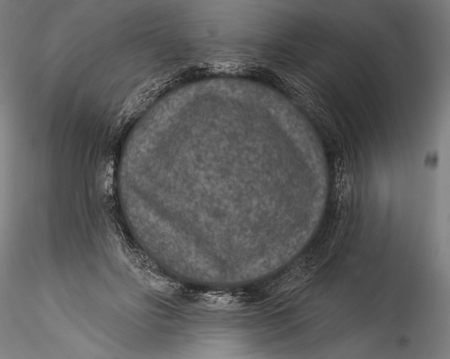 X0000115530502200911271349