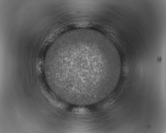 X0000115530503200911271349