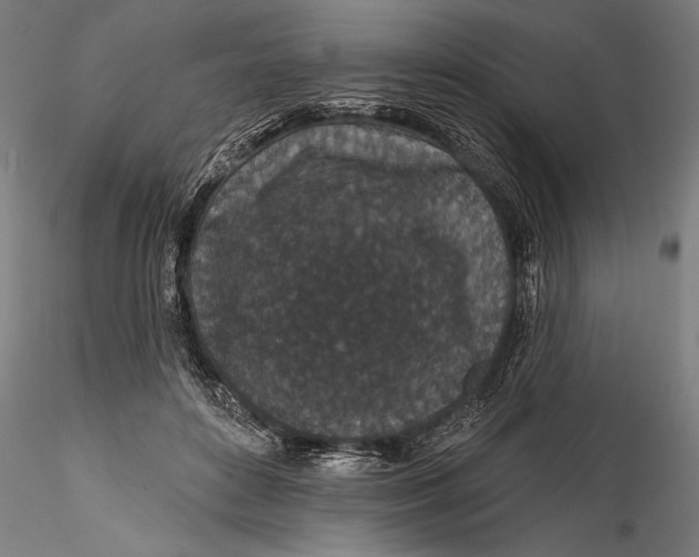 X0000115530504200911271349