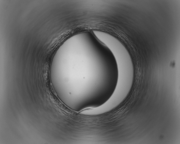 X0000115530505200911271349