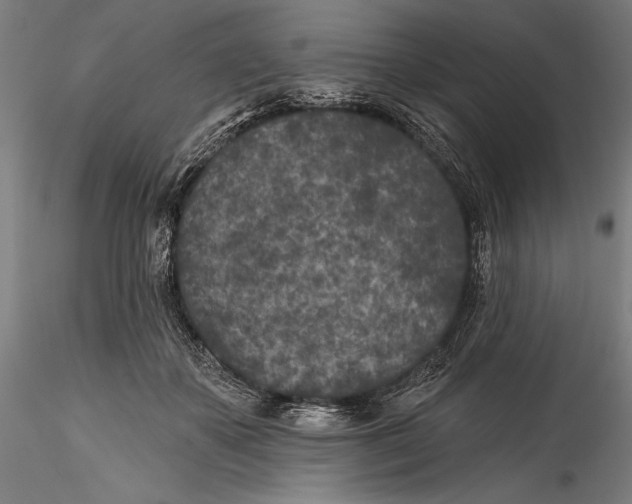 X0000115530507200911271349