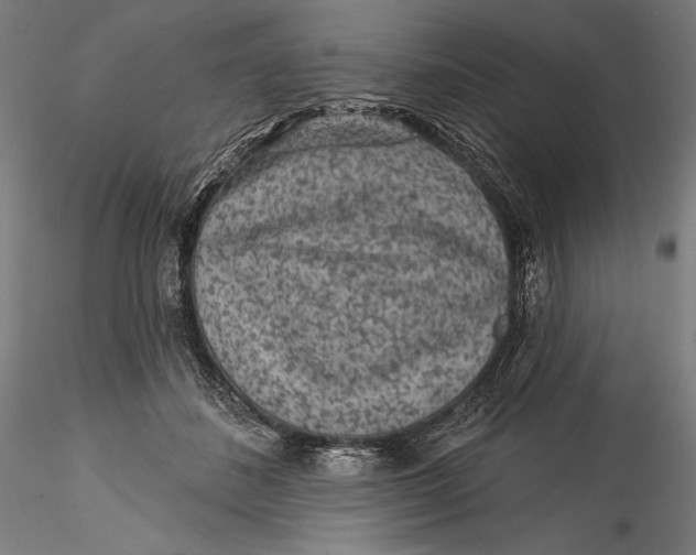 X0000115530508200911271349