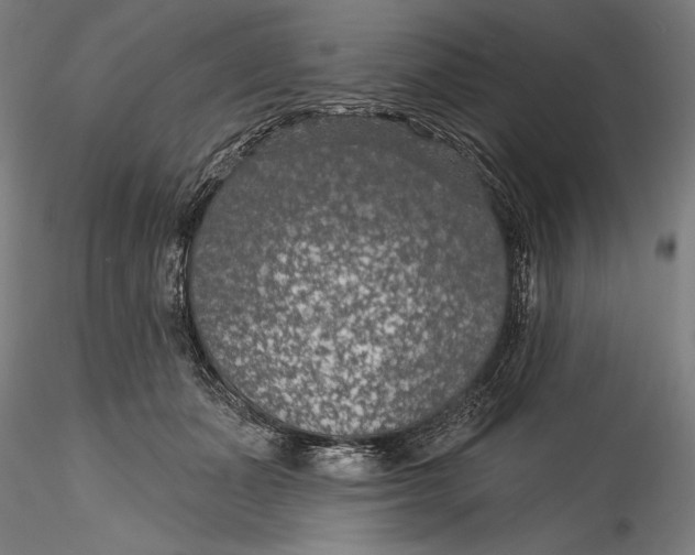 X0000115530511200911271349